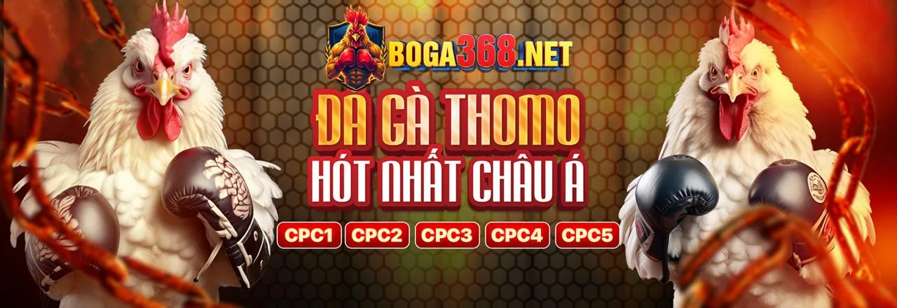 Hình ảnh sòng bạc trực tuyến 8live với các trò chơi đa dạng